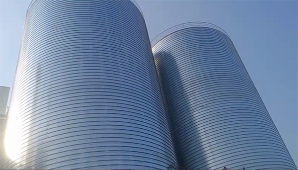 桃源2座混凝土高架卷板仓